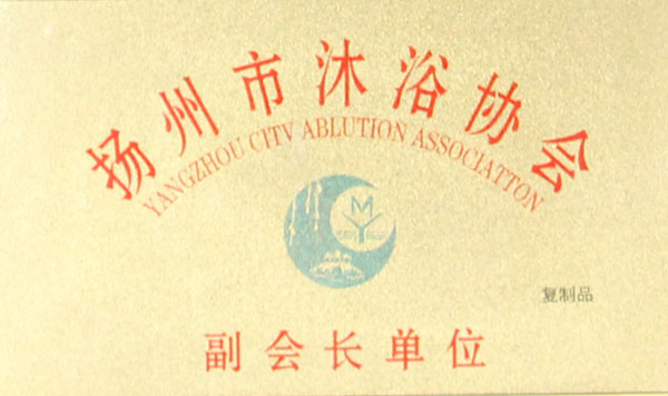 荣誉资质19