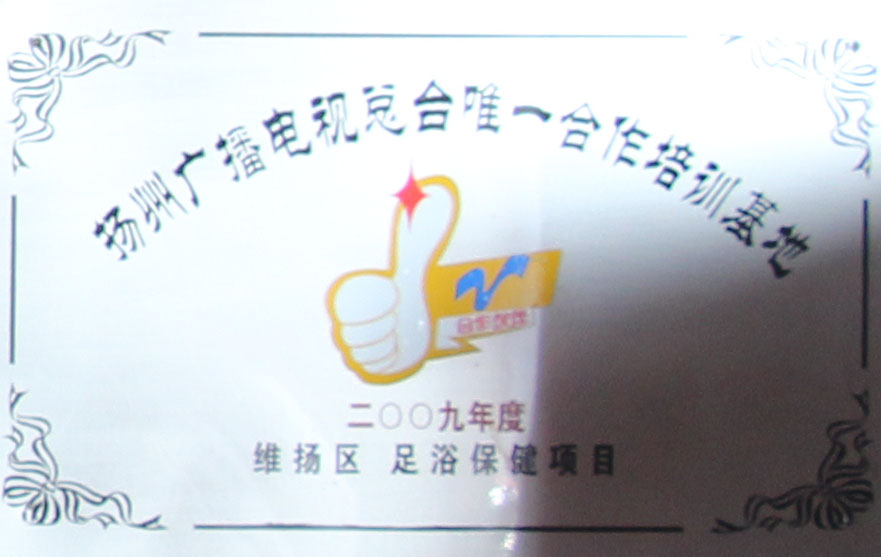 荣誉资质12
